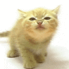 att-47454f1c816efv_98.gif